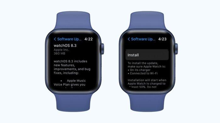 Cara Update Firmware Smartwatch